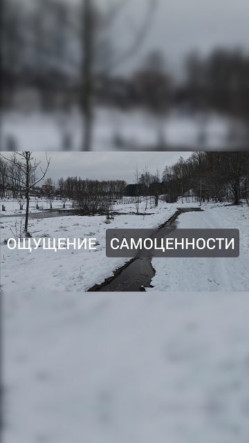 Описание практикума «Самоценность» Описание практикума «Самоценность»