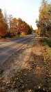 Главный компонент денег